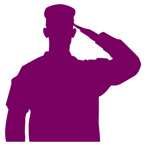 
Veterans’ Mental Health Needs	
